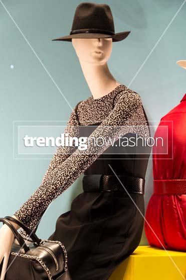 Milan shopping windows Max Mara