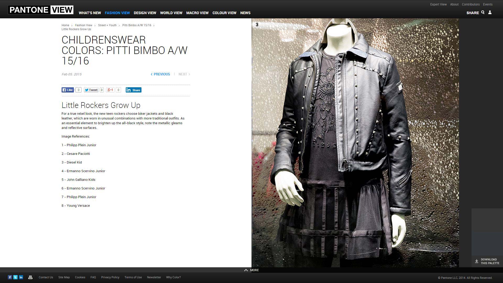 Fashion trend analysis
